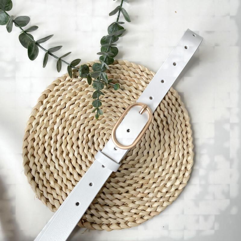 Vintage-Inspired Casual Pin Buckle Trouser Belt