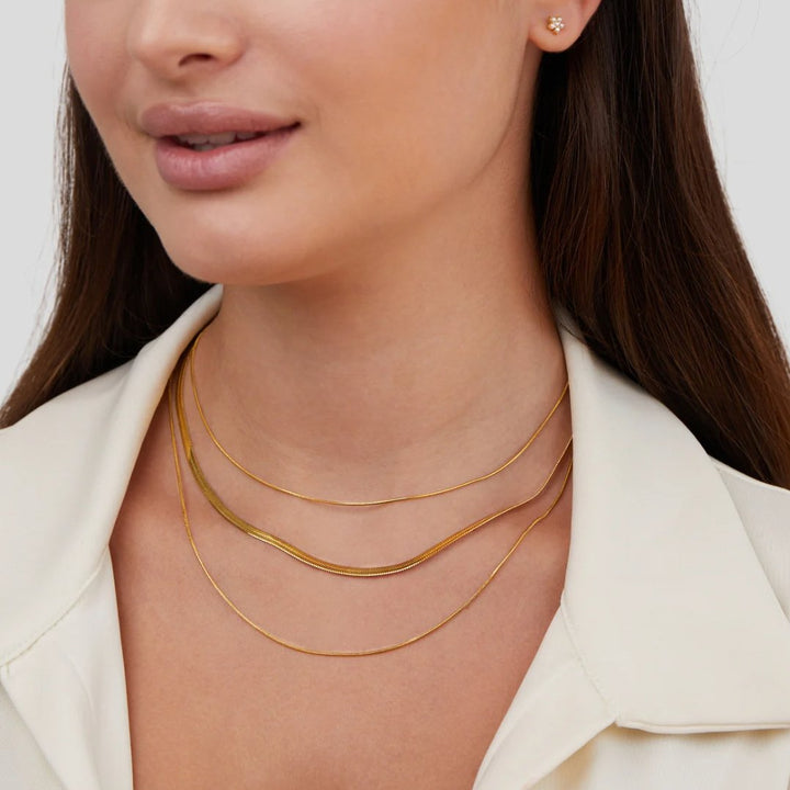 Antonina